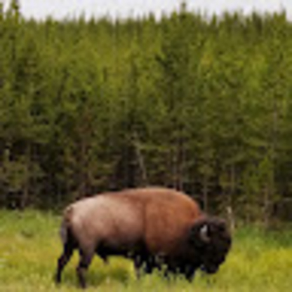 Meet your Posher, Caity